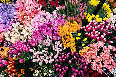 《战地6》多人试玩：破坏系统展示、维修工具恶趣味创作